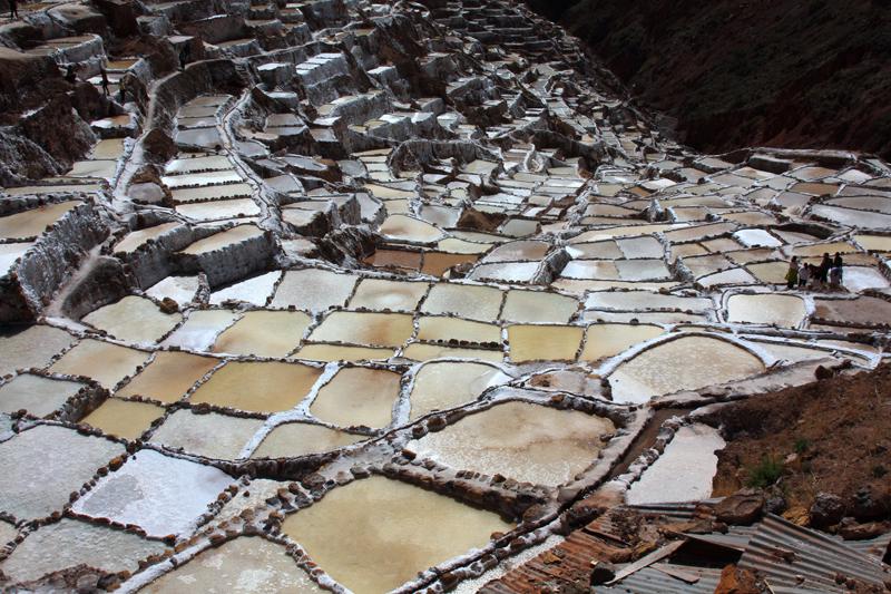 423-Maras,saline,10 luglio 2013.JPG